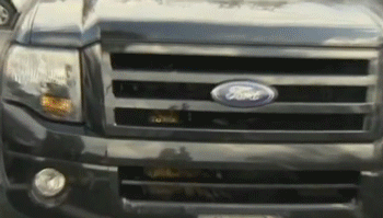 Greatest GIF ever!